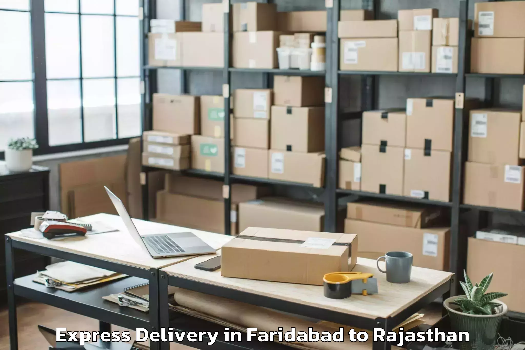 Book Faridabad to Asind Express Delivery Online